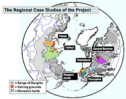 case map