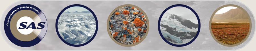 Changing Seasonality in the Arctic System