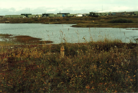 Toolik Field Station