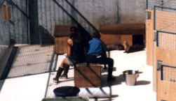 Susanne and Merav Feeding