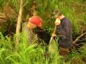 Professor Pinkham and Casey Bell kicking and netting at Standard Creek