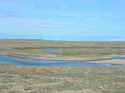 A photo of Banks Island~boy was it nice to see all the green!