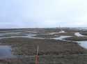Known as patterned ground, soggy soil above permafrost will take on these bizarre shapes due to frost wedging.  They look really neat from the air.