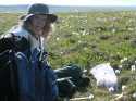 Dr. Mack preparing to bury resin bags above the permafrost layer to detect fertilizer run-off
