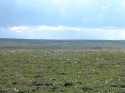 From the historic test plots one can just barely see the glint of the pipeline in the distance.