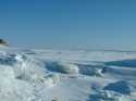 This photo of the Lena River was taken by Sasha Zhulidov during the first Lena River sampling trip of the year (April 9, 2004).