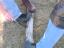 tn_gallery_11_4_651541.jpg