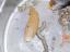 tn_gallery_12_3_16843.jpg