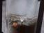 tn_gallery_12_3_4997.jpg