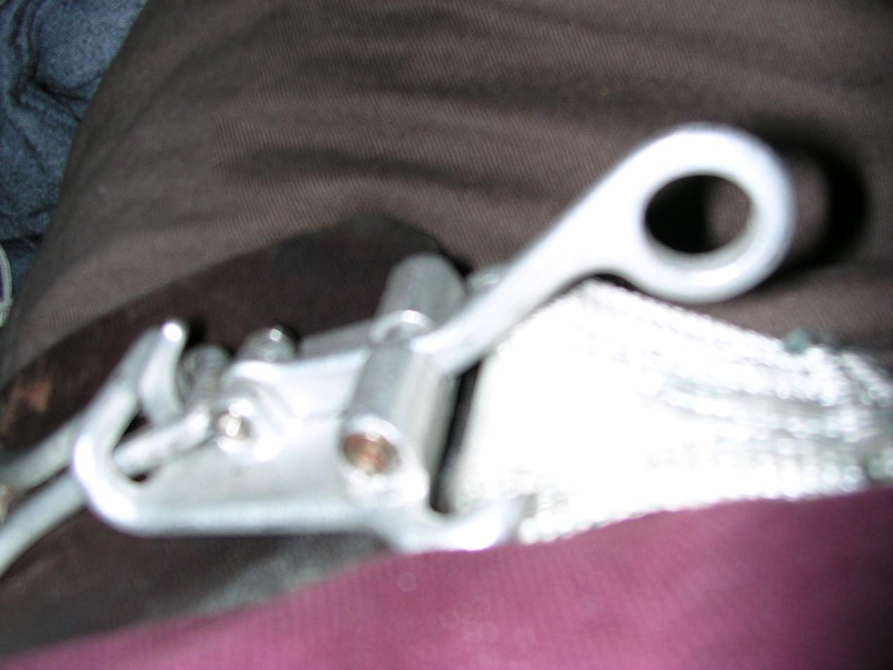 gallery_11_4_514247.jpg