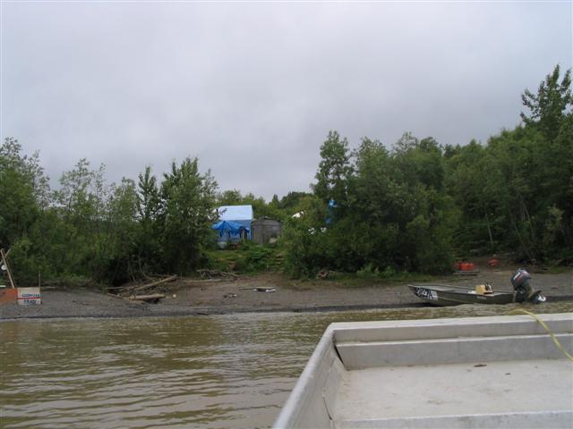 gallery_6_5_31018.jpg