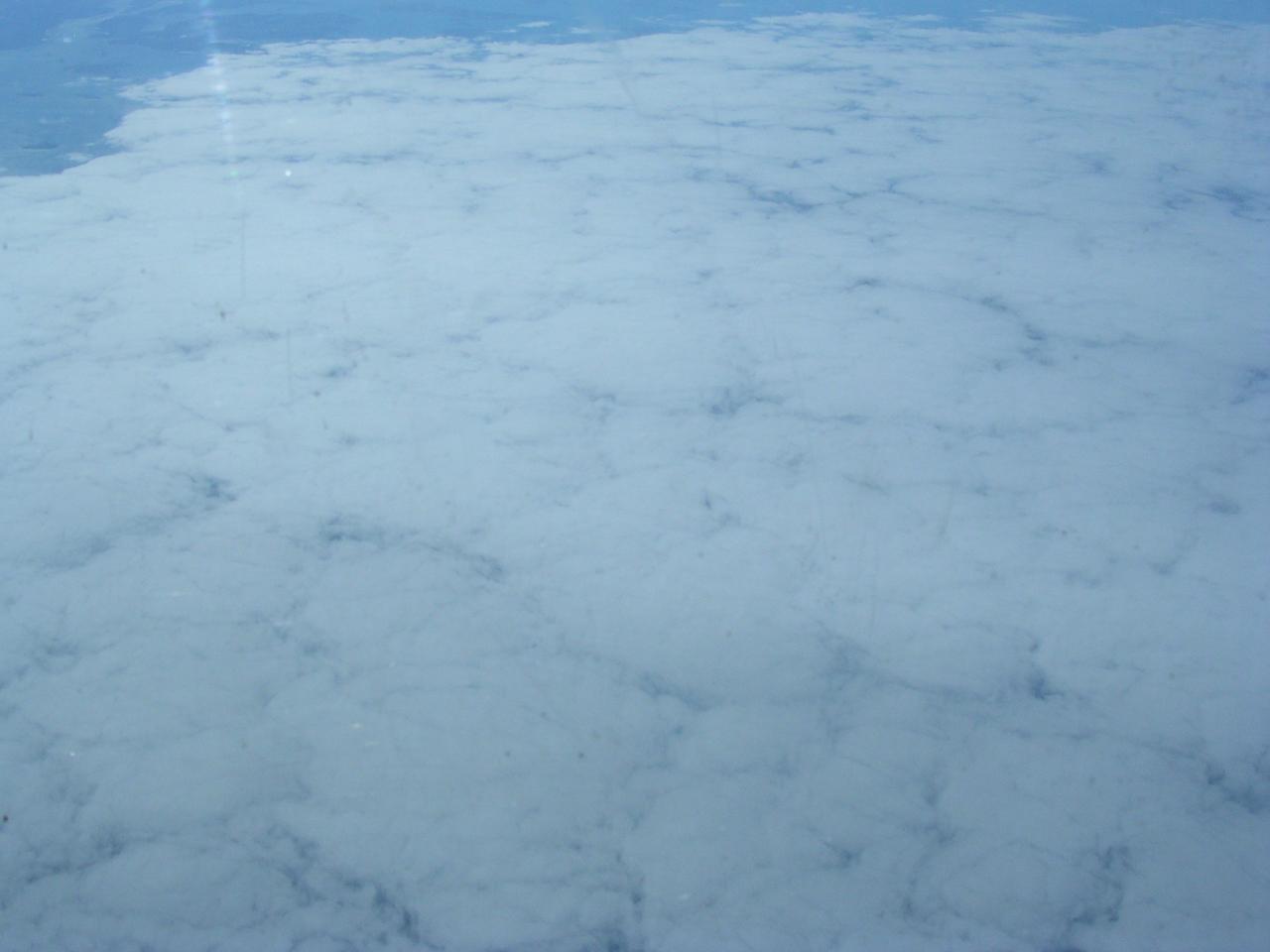 gallery_11_4_626279.jpg