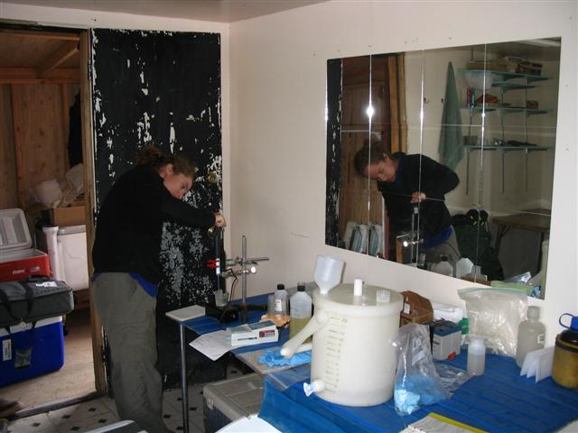 gallery_6_5_25550.jpg