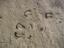 tn_gallery_7_6_45493.jpg