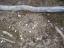 tn_gallery_7_6_53947.jpg