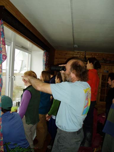 gallery_8_7_33772.jpg