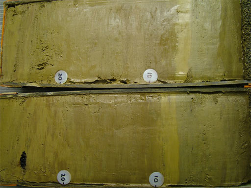 gallery_10_8_3802.jpg