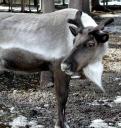tn_gallery_29_18_33350.jpg