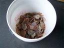 tn_gallery_24_14_1053.jpg