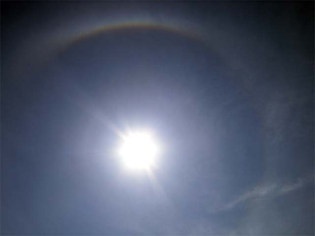 gallery_24_14_4004.jpg