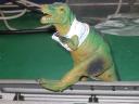 tn_gallery_20_21_98620.jpg