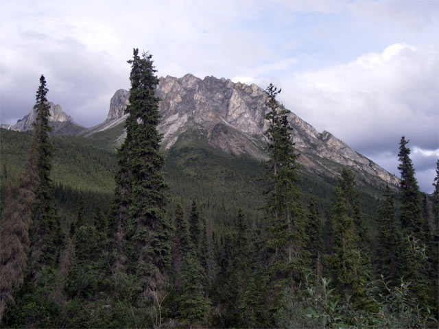 gallery_28_20_52896.jpg