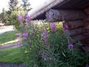 tn_gallery_28_20_50635.jpg