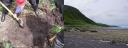tn_gallery_31_17_1337.jpg