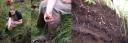 tn_gallery_31_17_31099.jpg