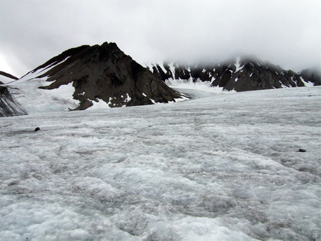 gallery_27_19_44350.jpg